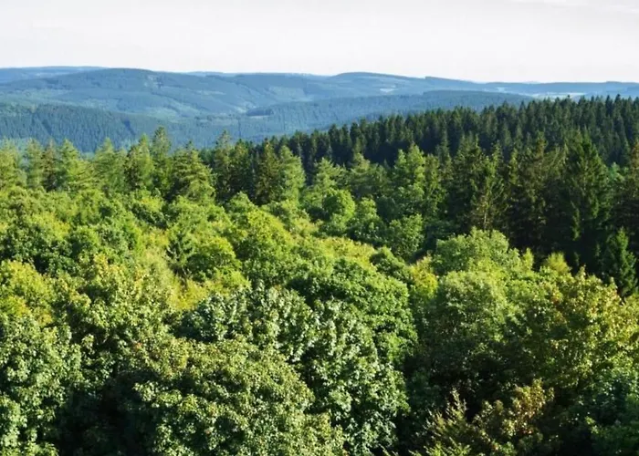 Charmantes Iris Im Waldecker Land By Interhome * Bad Arolsen